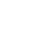 04_icn